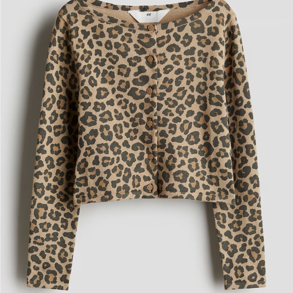 H&M Leopard Print Button-Up Sweater